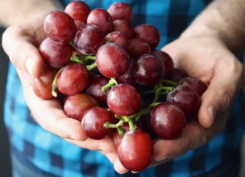 10 Research-Based Skin & Hair Benefits of Grapes