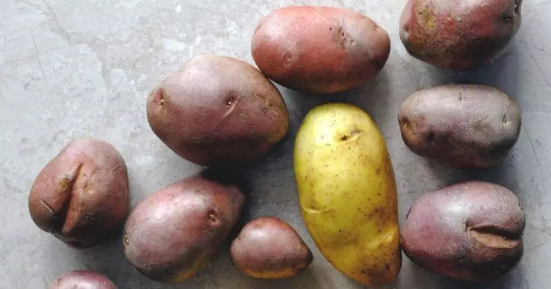 sweet vs normal potato main-post-image