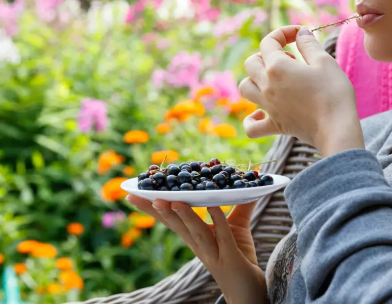 woman eating black currant