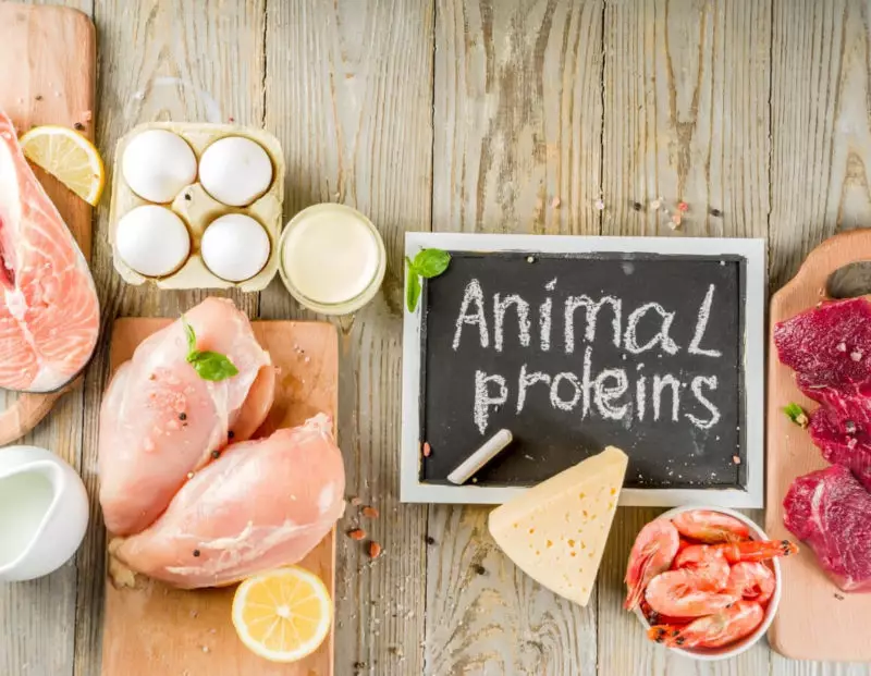 animal protein foods