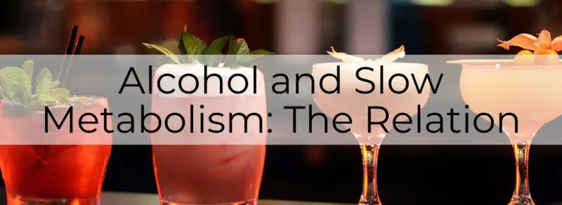 does alcohol slow metabolism main-post-image